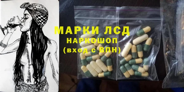 стафф Осташков